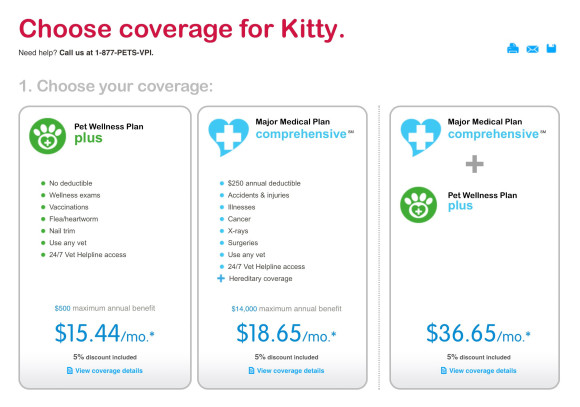 kitty-insurance